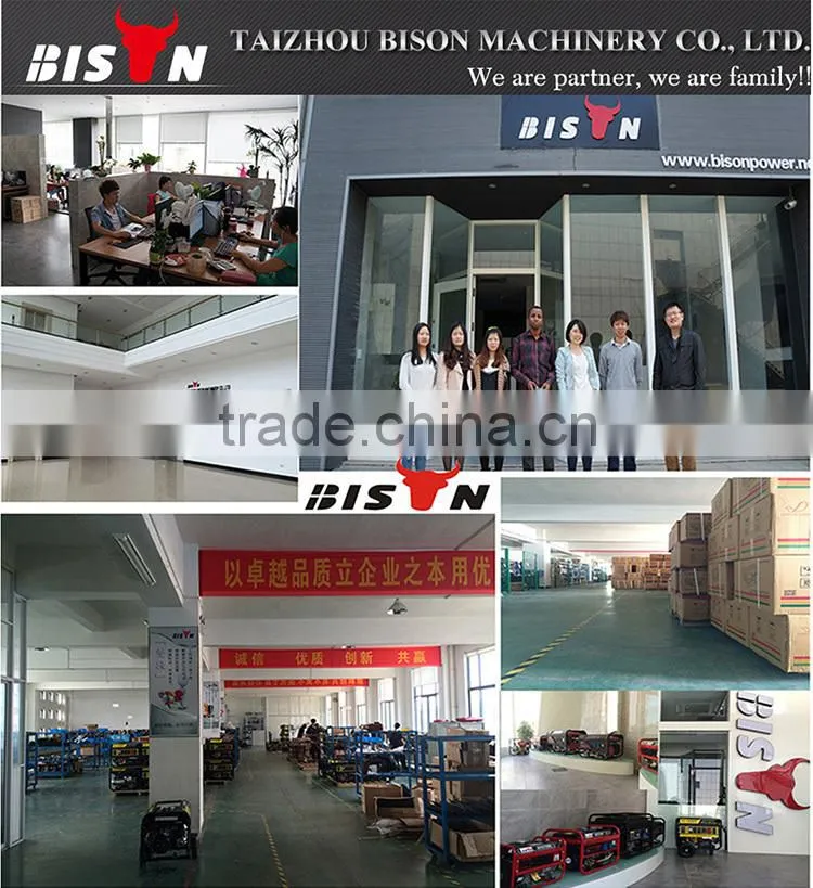 BISON(CHINA) Small 12v DC Gasoline Generator