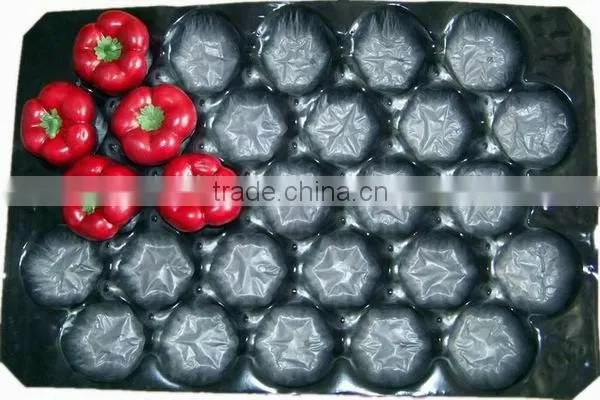 Fruit Punnet