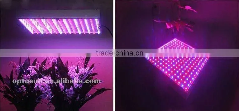 SMD 5050 led plant grow light strip