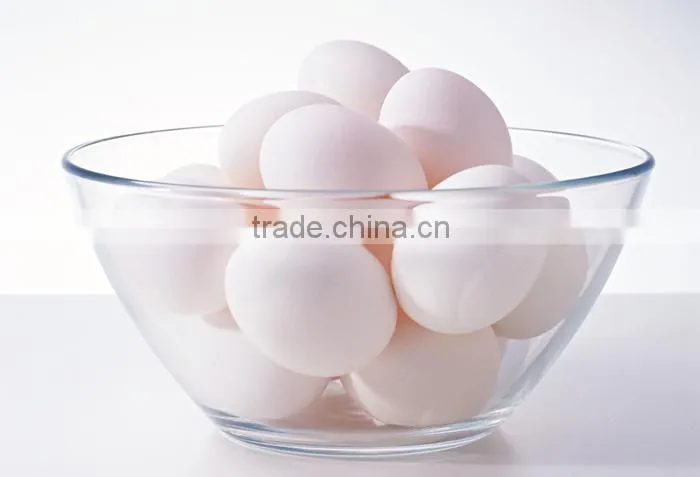 electric egg steamer / egg cooker / egg warmer /egg boiler