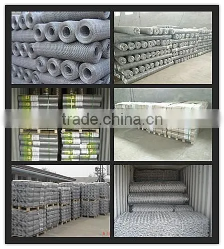 Supply poultry netting / hexagonal fence netting from top factory