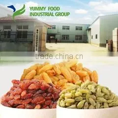 Yummy Food Industrial Group company overview - view 3