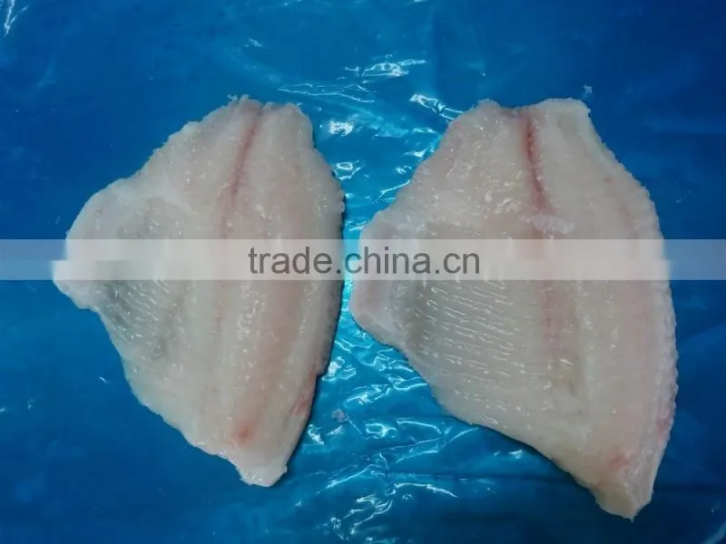 Frozen Tilapia Fillet