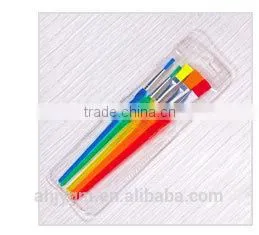 6PCS Nylon Plastic Handle Artist Brush/artist paint brush/artist brush set