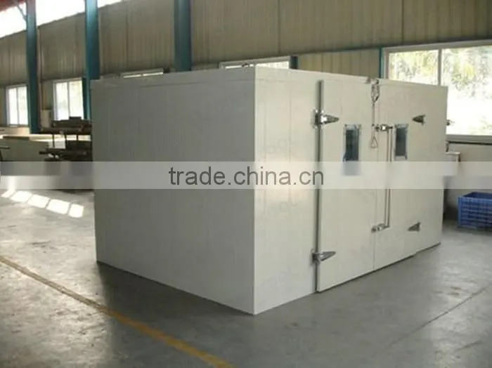 Commercial seafood meat cold room cold drink freezer