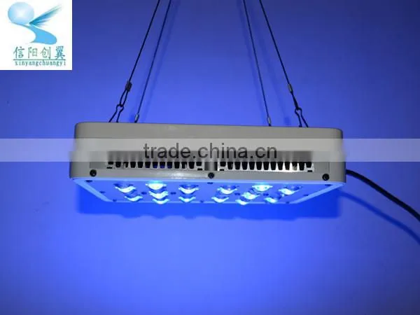 lowest price ce rohs fcc pse approved 5w epiled chip area led grow lights