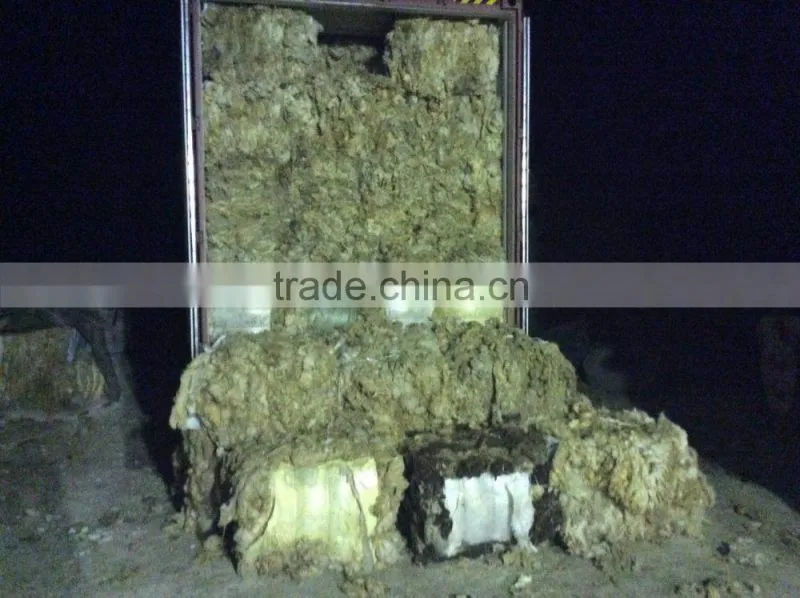 100% greasy Russian sheep wool, 28-38mic, 80-95mm, natural white color