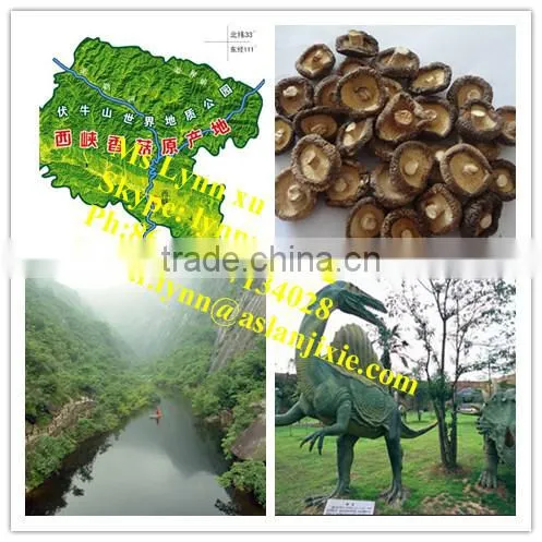 hot sale log white flower mushroom