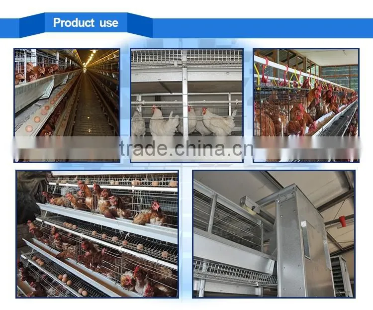 Hot !!! used poultry battery cages for sale