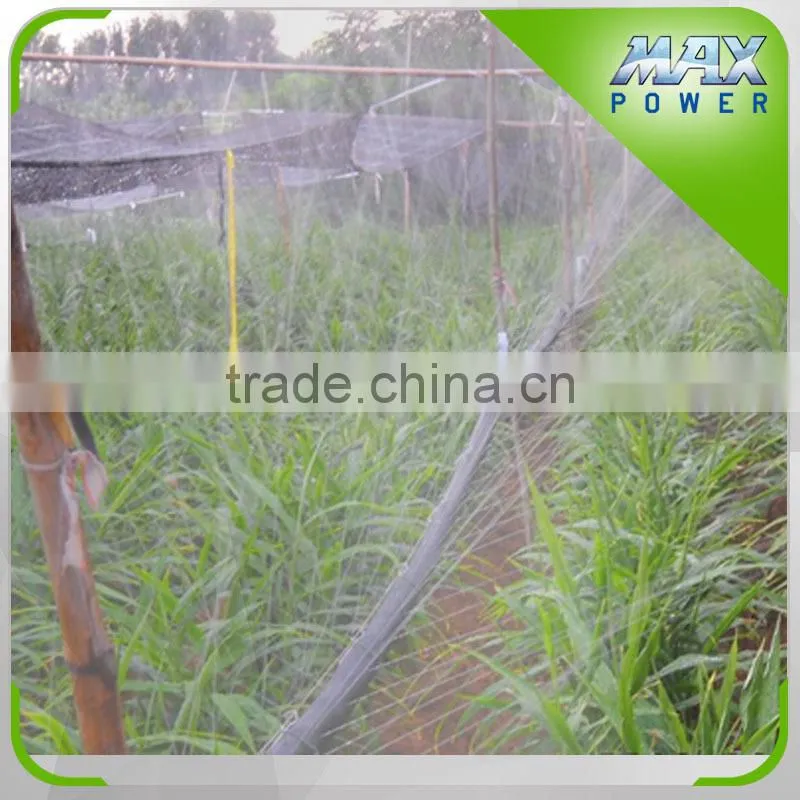 Poly film greenhouse Micro Spray Tape