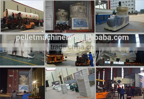China Hot Sale Biomass Burner Sale in Low Price