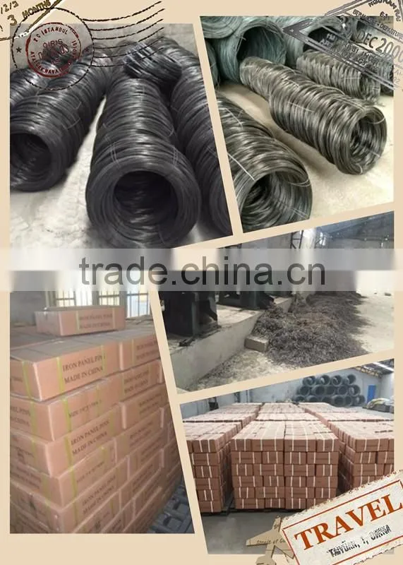 2.5" POLISH NAIL / COMMON NAIL / WIRE NAIL COST PRICE SELLING