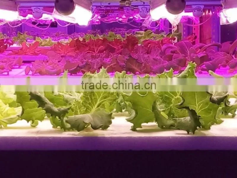 seedling growing light 20w t8 4ft LED plant lamp tube better than mars
