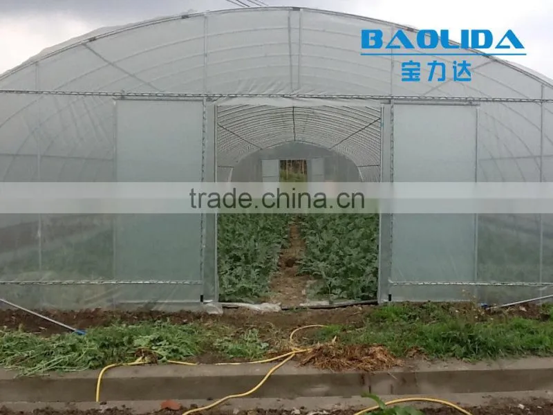 BaoLiDa Cheap Tunnel Greenhouse Agricultural Plastic Film Greenhouse