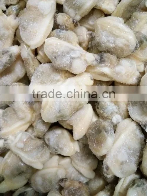 IQF cooked baby clam meat without shell for export