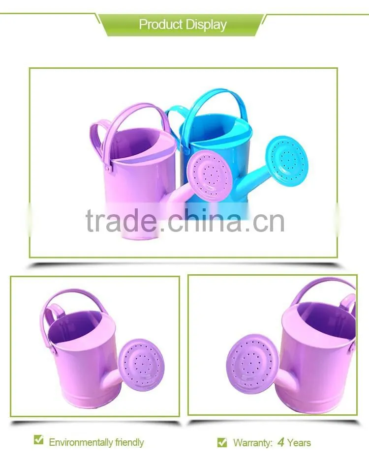 metal garden 4L watering can