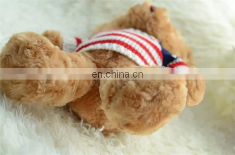 Brown and White Custom Plush Toy Teddy Bear