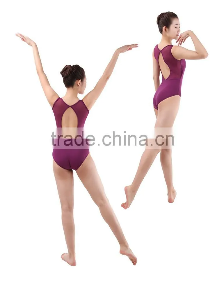 Sexy Mesh Ballet Leotards