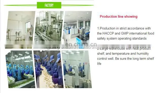 lyophilizer for food freeze vacuum drying processing