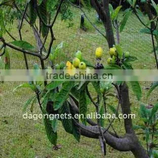 100%HDPE bird screen mesh