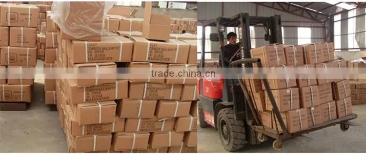 China building material dubai and arabic screw roofing nail with washer