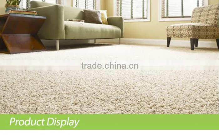 22oz Carpet Cleaner Without Vacuum