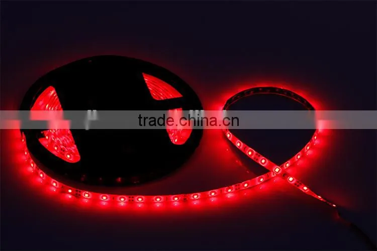 IP65 Latest Outdoor LED Decoration 1210 SMD Waterproof Flexible Tube Strip Lighting LED Strips Lights