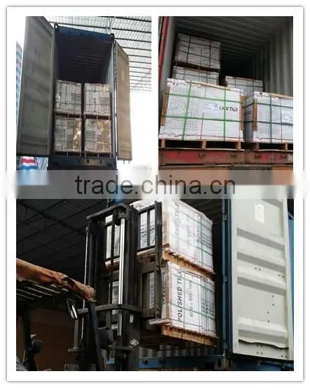 Nafuna Double Loading Polished Tiles