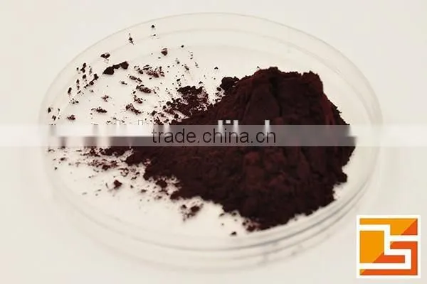 blackcurrant Ribes nigrum extract for Antioxidant