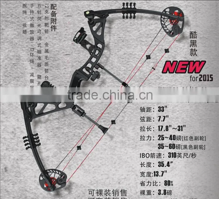 China hunting Compound Bow 195 china archery bow for sale 310 fps Bow