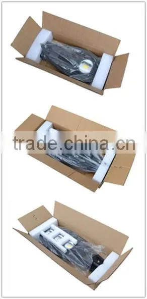 20W 30W 40W 50W 60W Imitation lumens led street light IP65 waterproof