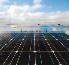 Cigs Solar Panel with great price high quality /MJ