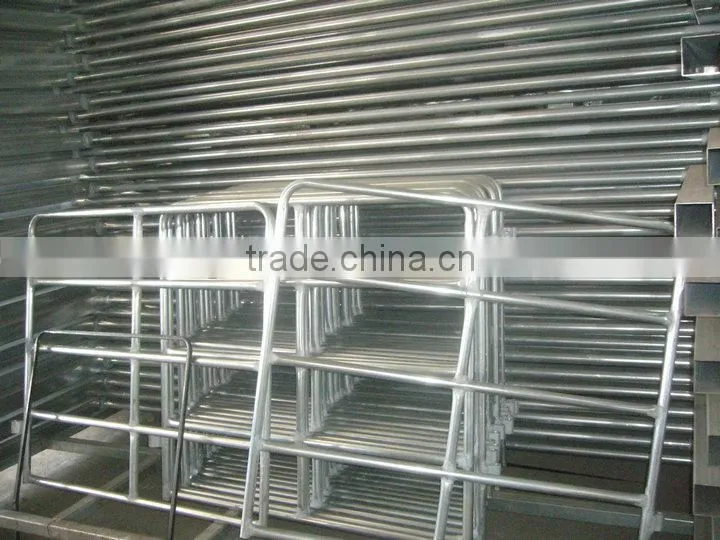 Stables for cattle barrier in galvanized for cattle