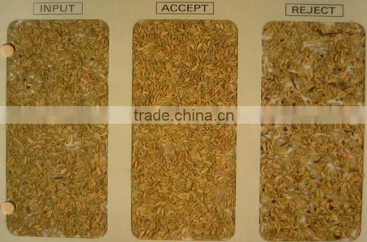 Patented Ejector with 5000+pixel color sorter with fast detection and high identification rate,beer barley grading machine