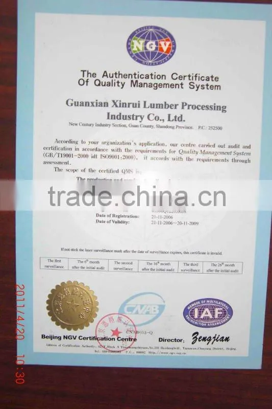Wheat Gluten for food additive