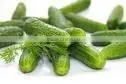 Best quality Vietnam fresh pickled cucumbers in jar - Ask for quotation! info@hagimex.com