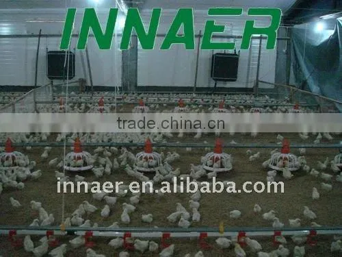 Automatic feeding line for layers and broilers