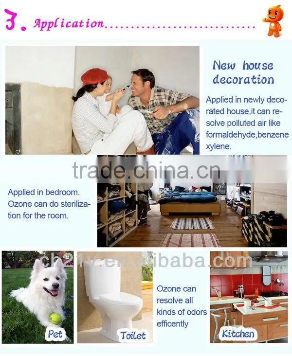 Hot! 2g ceramic ozone generator for drinking water