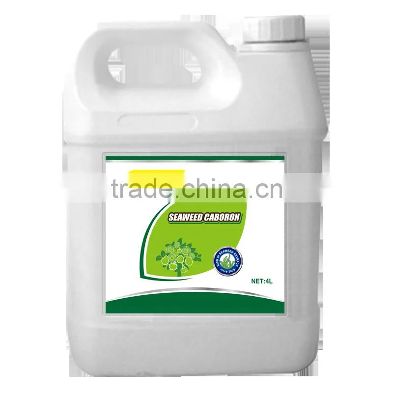 Seaweed CaBoron Liquid Organic Fertilizers