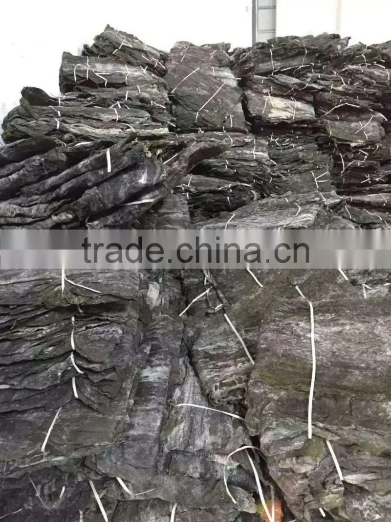 sun dried kelp raw material,laminria leaf,laminara digitata, Salad laminaria