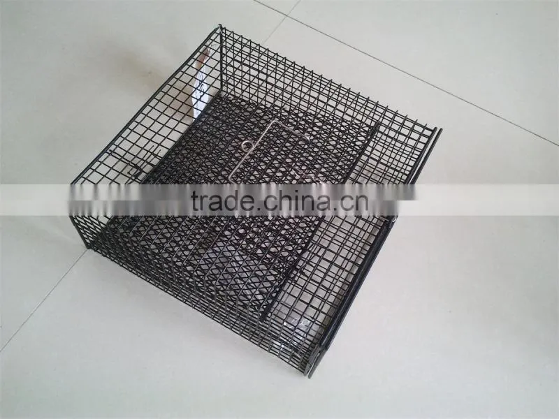 American popular Duarble metal lobster traps, coated crab trap wire