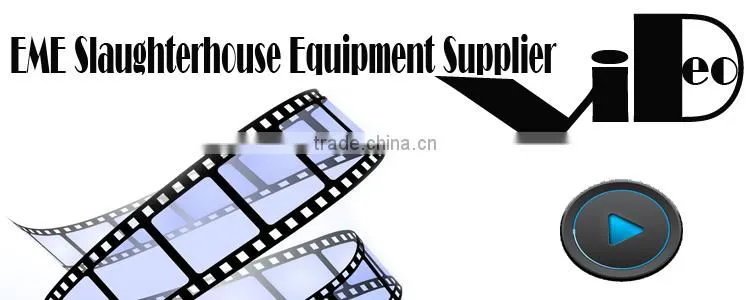 Pig Abattoir Equipment For Subsection Saw/Slaughterhosue Equipment