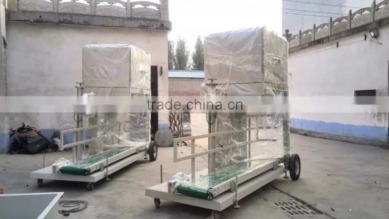 Sawdust pellet scale packing machine/automatic electronic scale packing machine for compound fertilizer