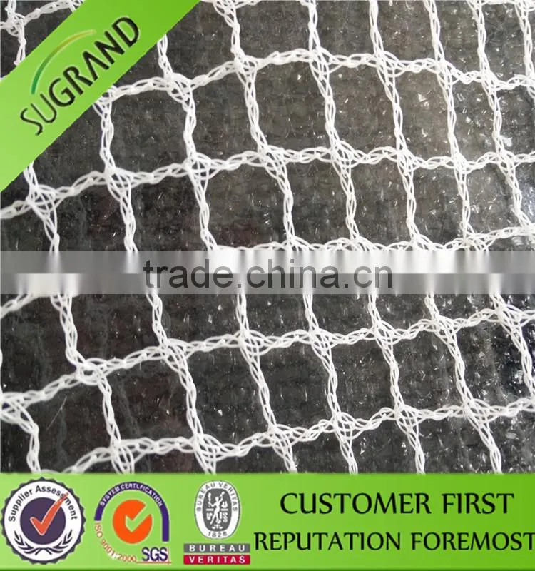 100% HDPE Agriculture Bird Barrier Net