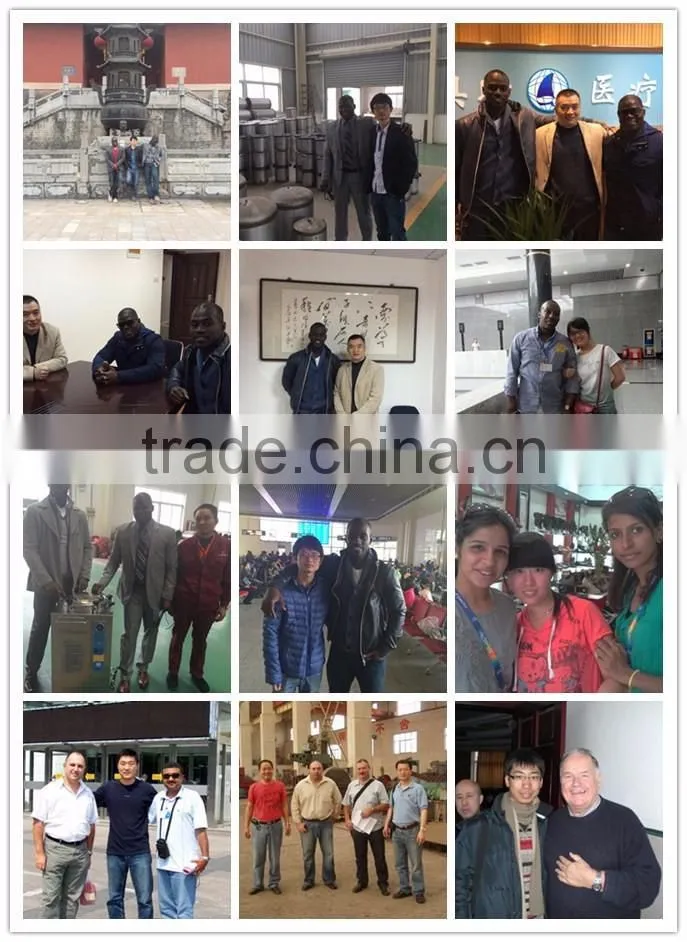 Bluestone Vertical or Mounted Electric Water Distillation Equipment