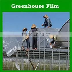 30%-90% shade factor agricultural plastic dark green shade net