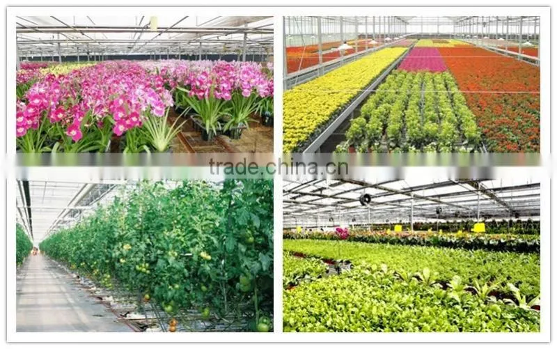 Light steel structure greenhouse for modern agriculture