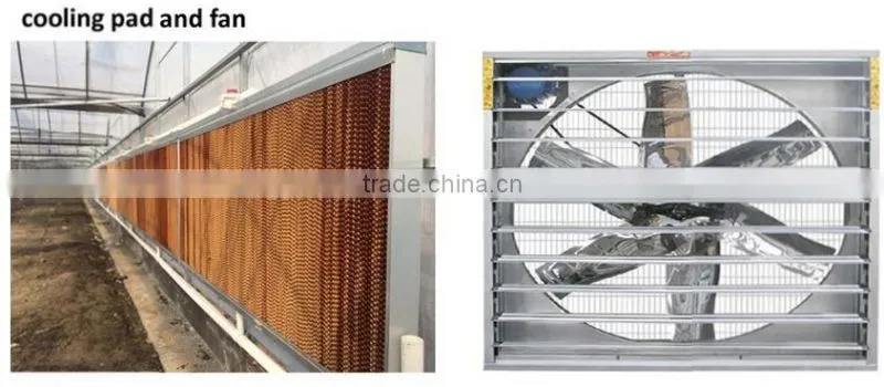 greenhouse solar fan