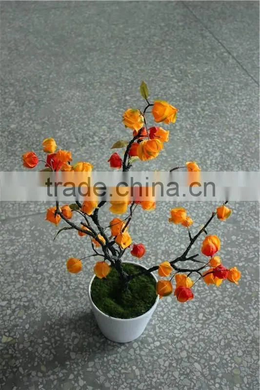Home decor led lighting lantern grass potted plant