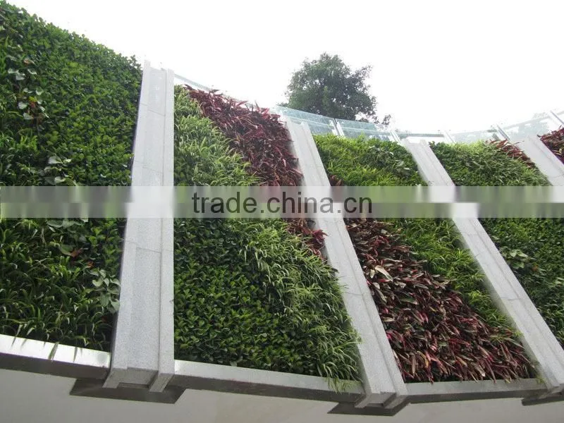 high quality Eco-friendly artificial plant wall, foliage green wall, indoor or outdoor